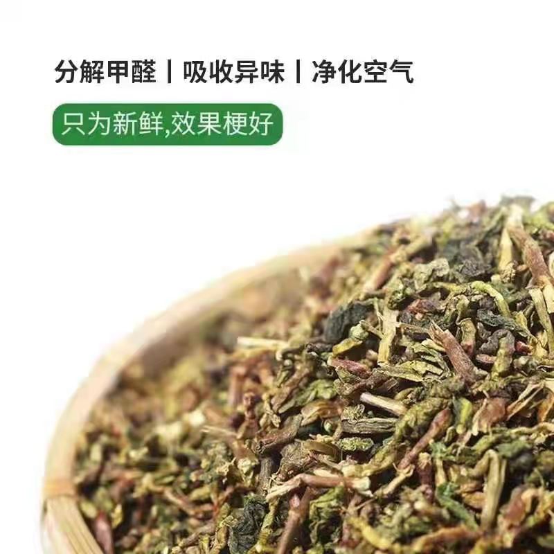 福建邮政-茶梗